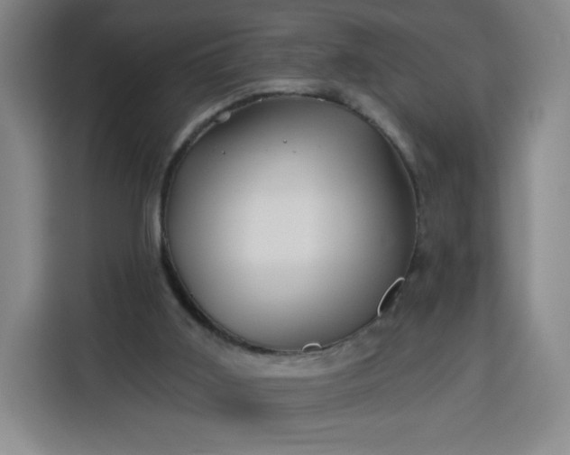 X0000113530011200910021339