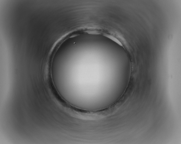 X0000113530012200910021338