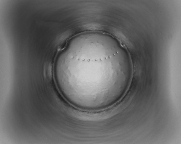 X0000113530014200910021338