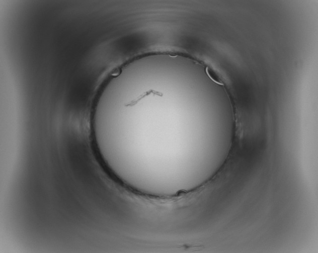 X0000113530015200910021338