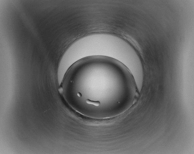 X0000113530017200910021338