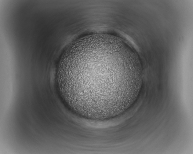 X0000113530018200910021338