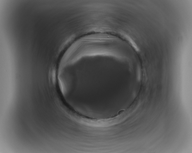 X0000113530019200910021338