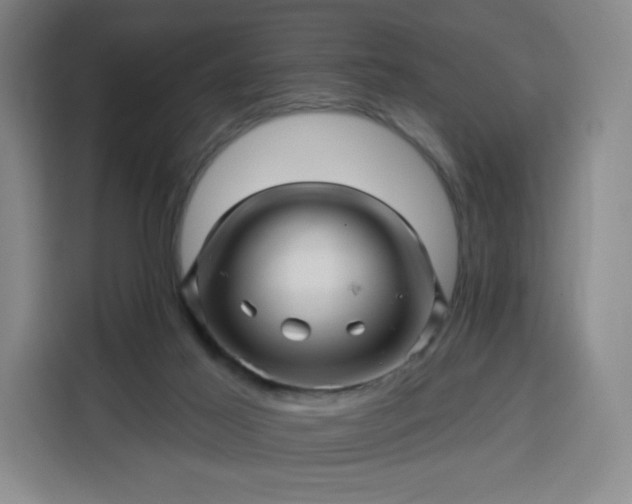 X0000113530021200910021338