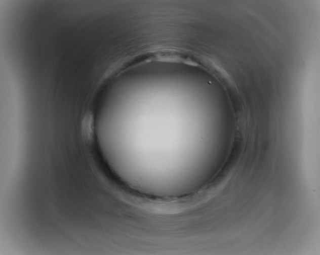 X0000113530024200910021338