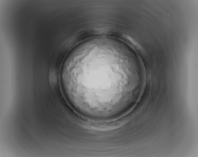 X0000113530026200910021338