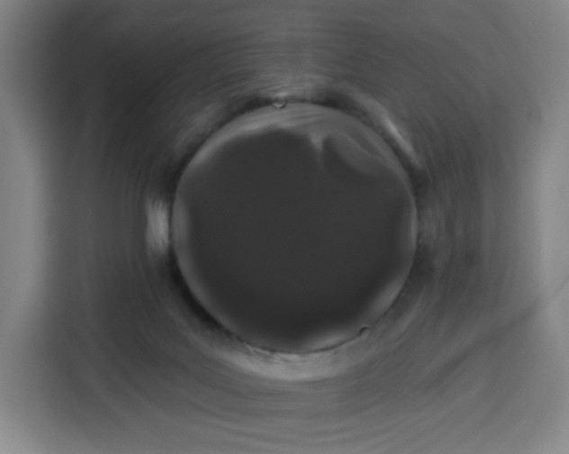 X0000113530027200910021338