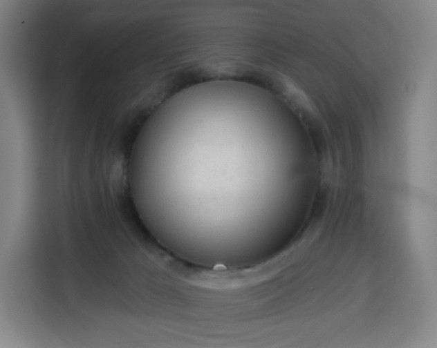 X0000113530029200910021338