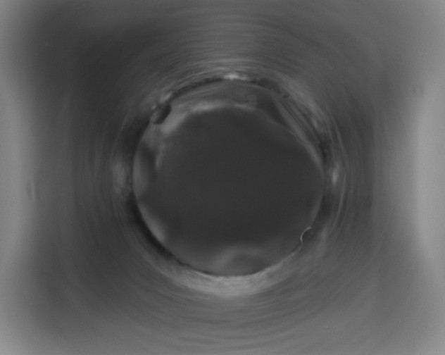 X0000113530031200910021338