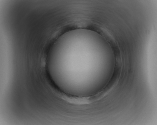 X0000113530032200910021338