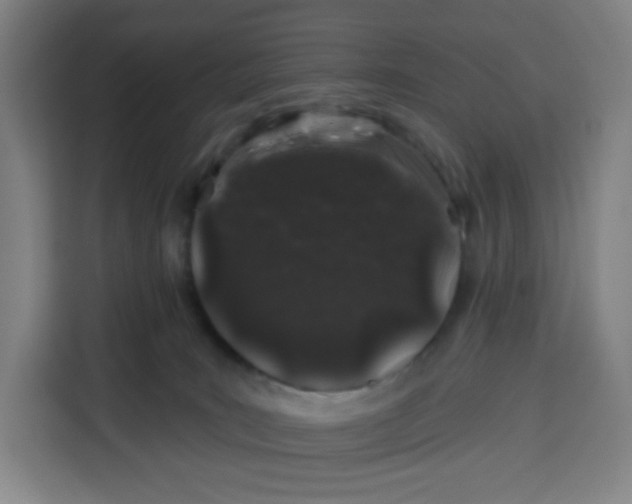 X0000113530035200910021338