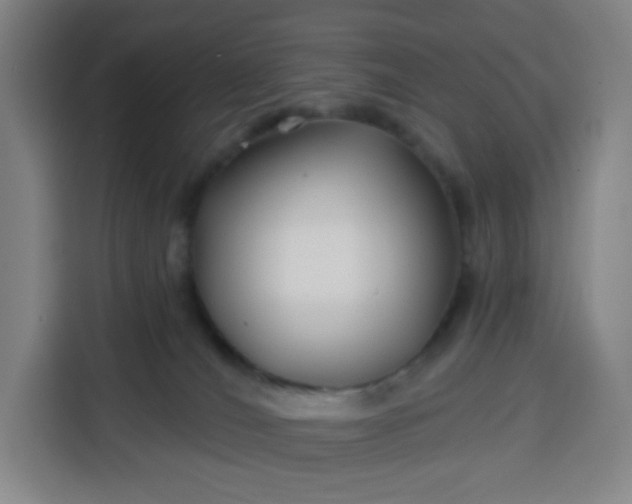 X0000113530036200910021338