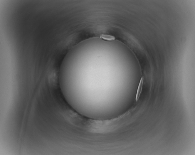 X0000113530037200910021338