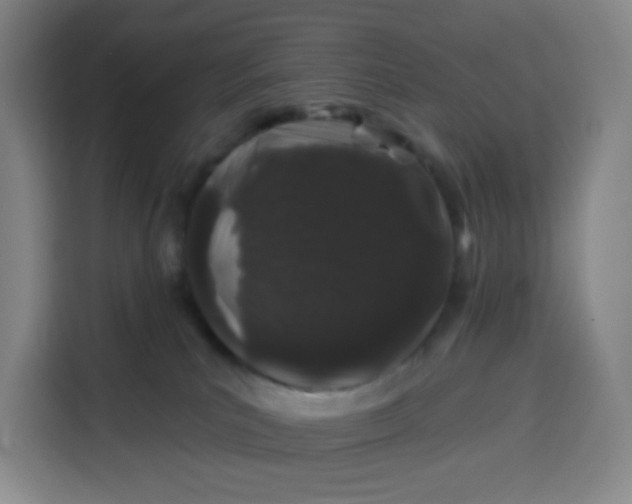 X0000113530039200910021338