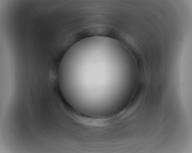 X0000113530040200910021338