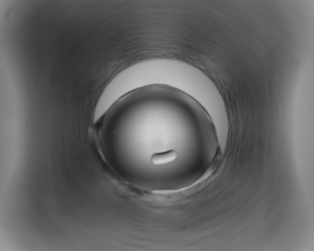 X0000113530041200910021338