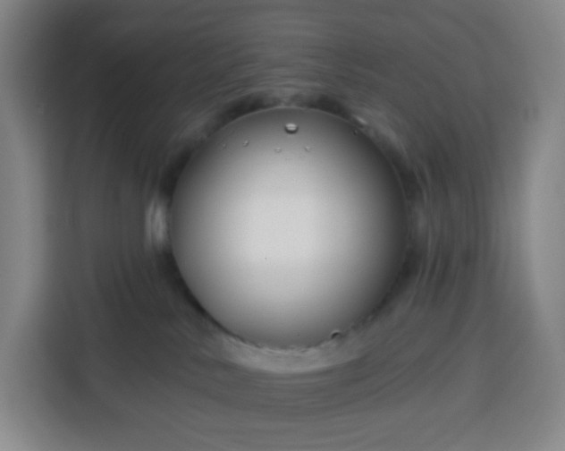 X0000113530042200910021338