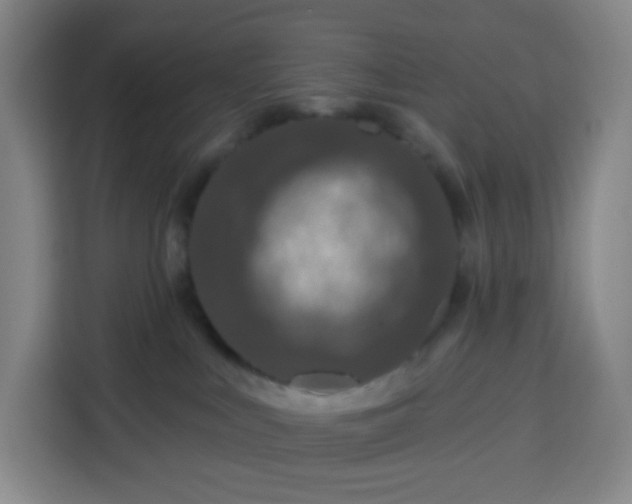 X0000113530043200910021338