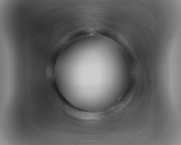 X0000113530044200910021338