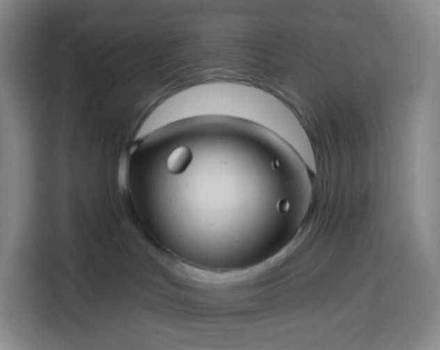 X0000113530047200910021338