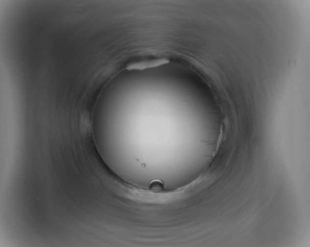 X0000113530048200910021338