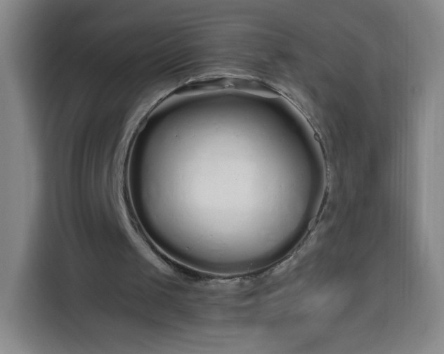 X0000113530049200910021337