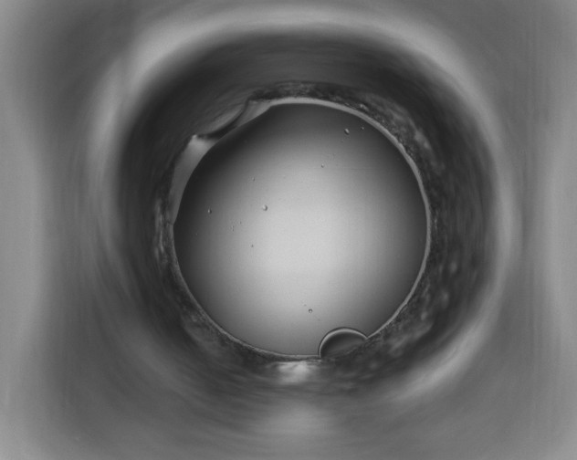 X0000113530050200910021337