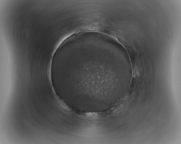 X0000113530052200910021337