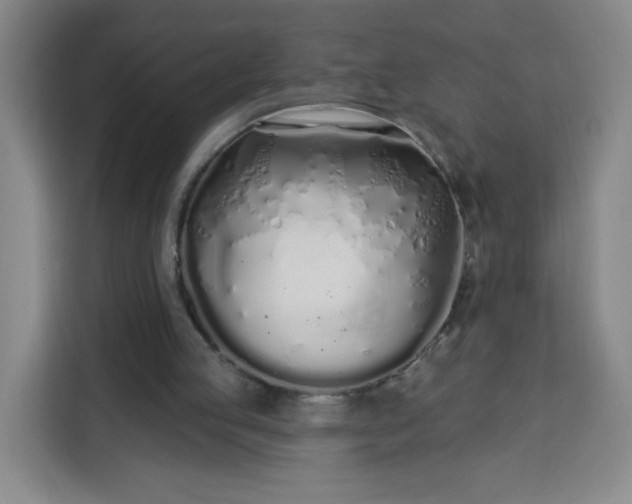 X0000113530053200910021337