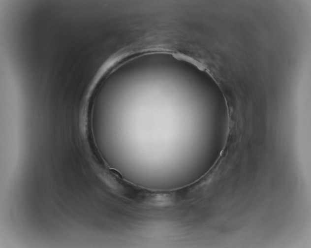 X0000113530056200910021338