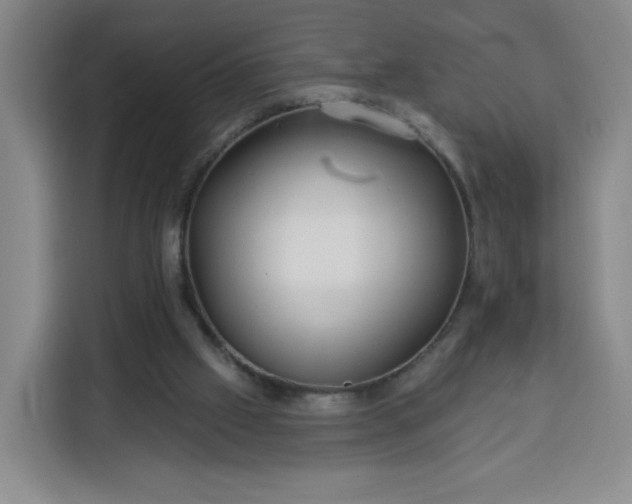 X0000113530057200910021338