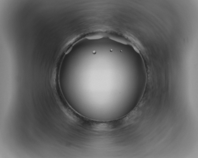 X0000113530058200910021338