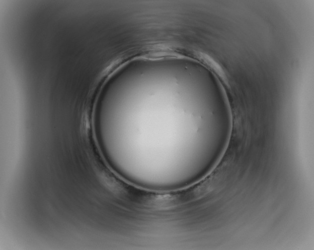 X0000113530059200910021338