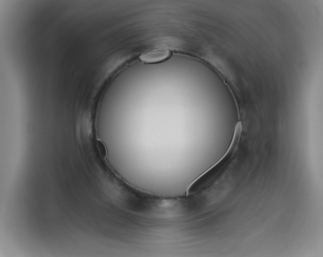 X0000113530060200910021338