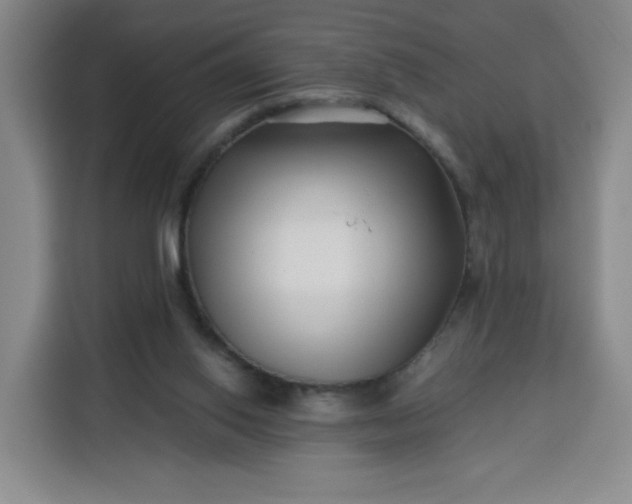 X0000113530062200910021338