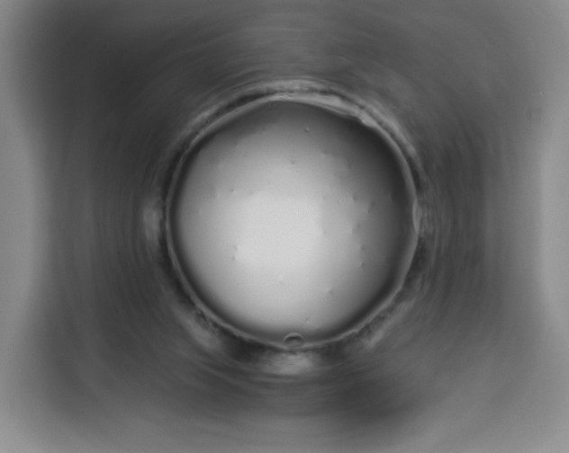 X0000113530063200910021338