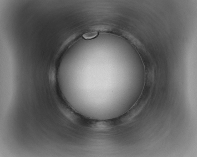 X0000113530064200910021338