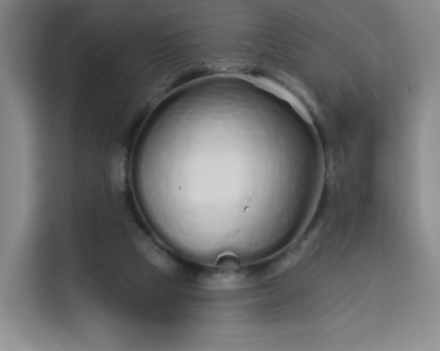 X0000113530065200910021338