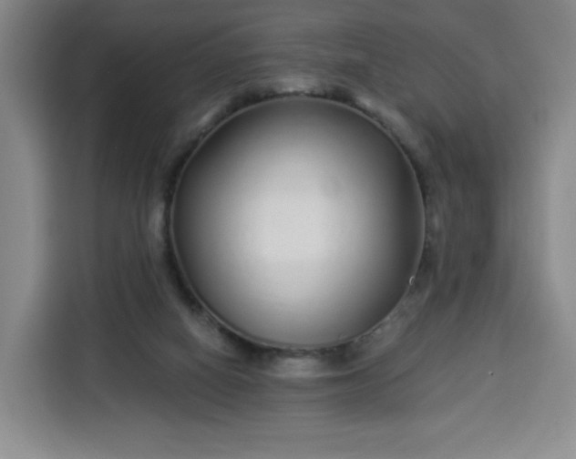 X0000113530066200910021338