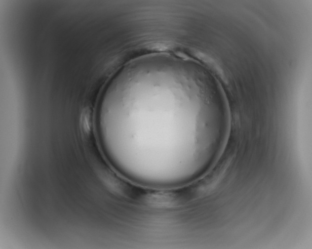 X0000113530069200910021338