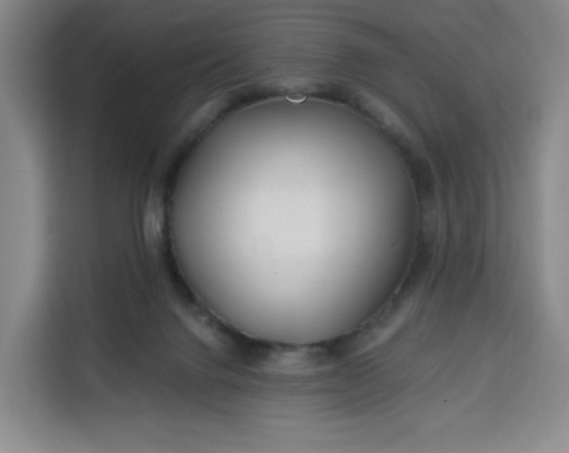 X0000113530072200910021338