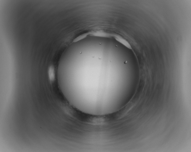 X0000113530075200910021338