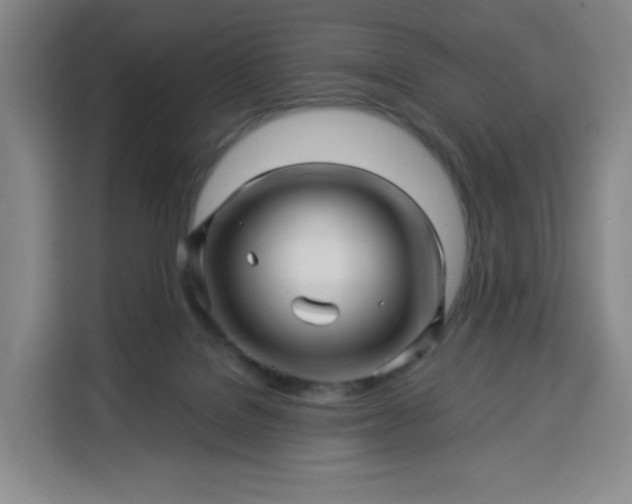 X0000113530076200910021338