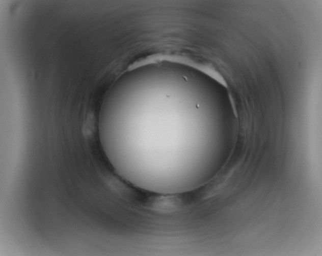 X0000113530077200910021338