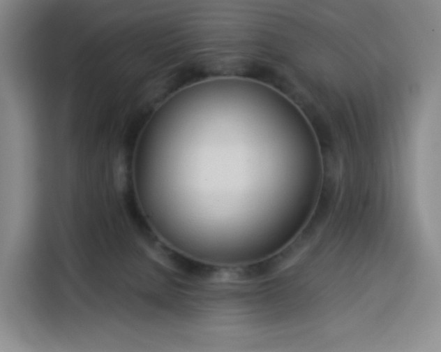 X0000113530080200910021338