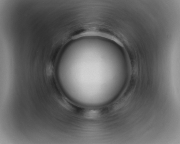 X0000113530081200910021338