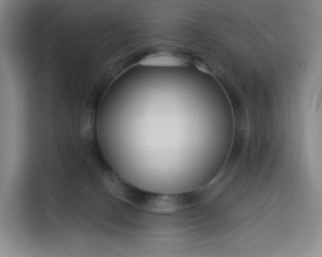 X0000113530082200910021338