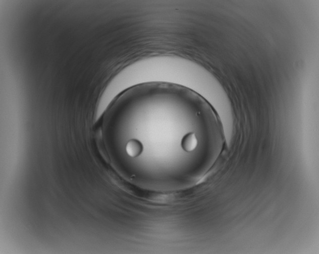 X0000113530084200910021338