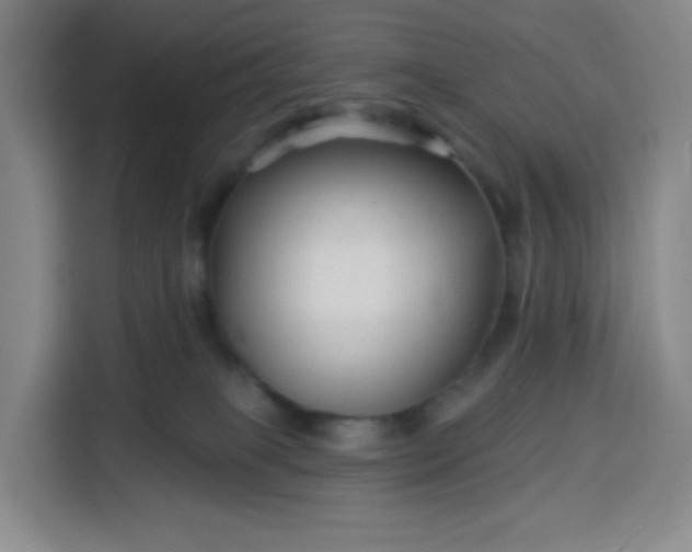 X0000113530085200910021338