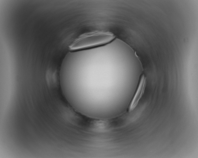 X0000113530088200910021338